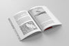 Book by Halla Birgisdóttir