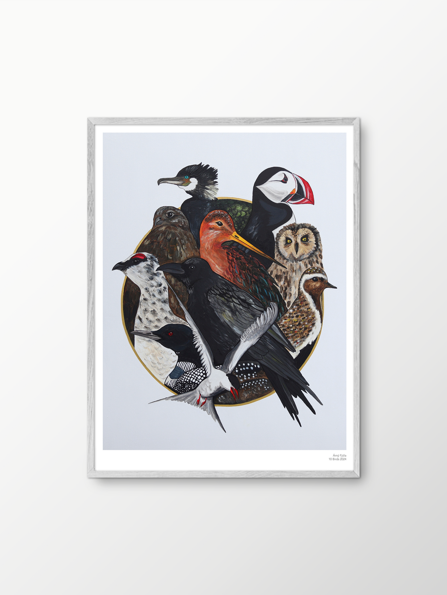 Árný Fjóla - 10 Birds Art Print 
