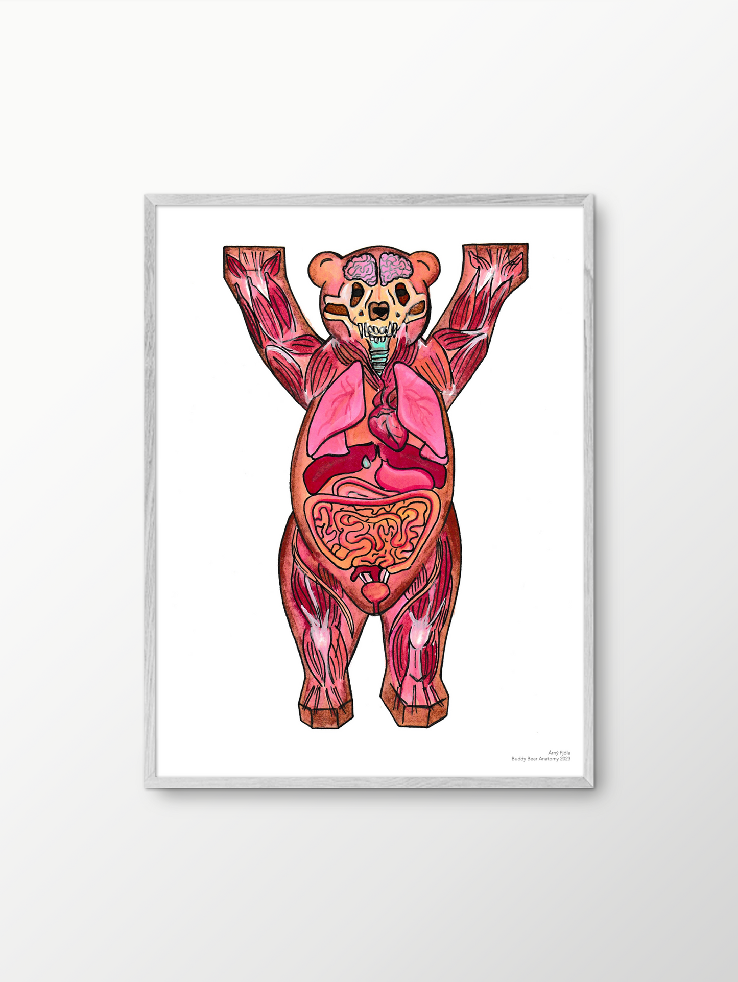 Árný Fjóla - Buddy Bear Anatomy 