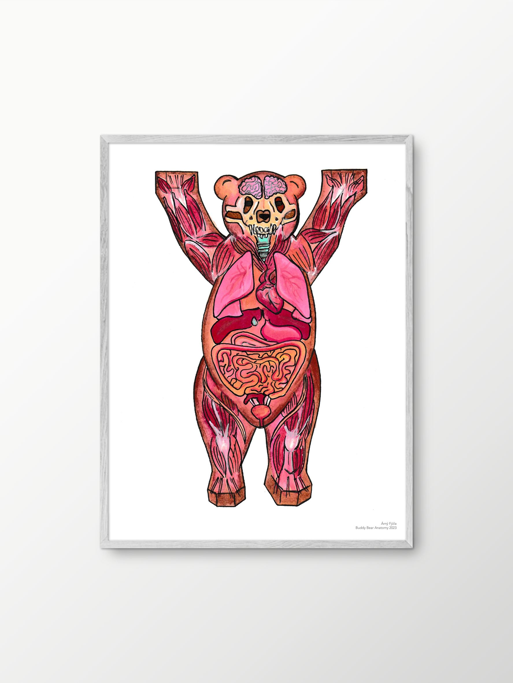 Árný Fjóla - Buddy Bear Anatomy 