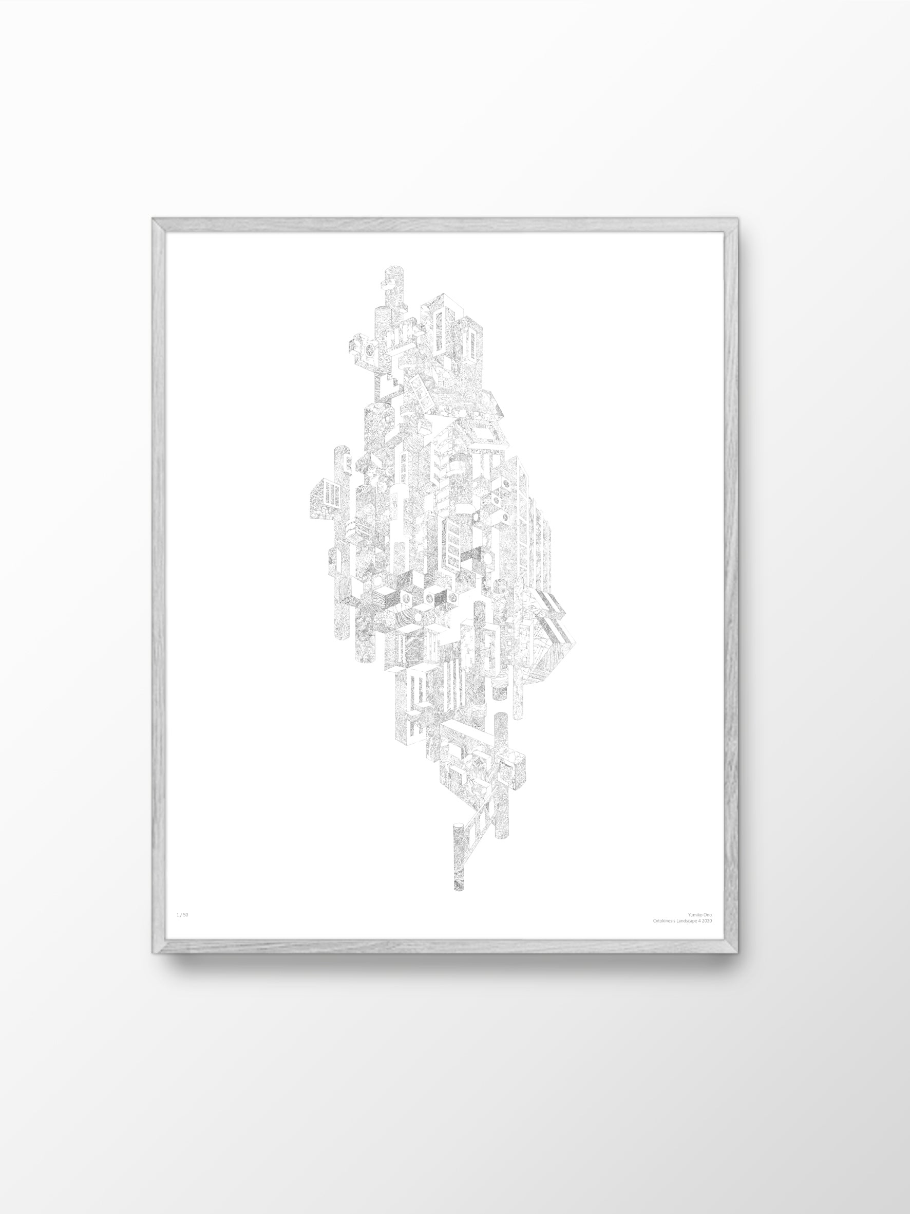 Yumiko Ono - Cytokinesis Landscape 4 